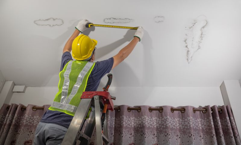 Roof Water Leak Detection